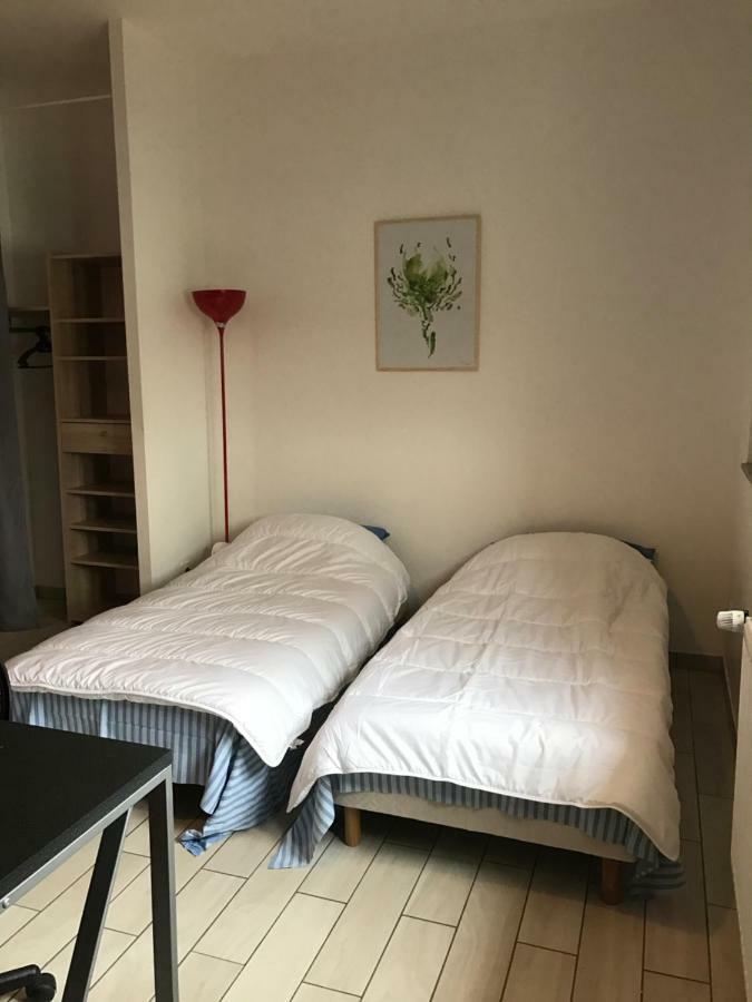 Ferienwohnung Les Studines Roanne Exterior foto